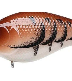 Lucky Craft LC MTO Crankbaits 65 Lucky Craft LC MTO Crankbaits