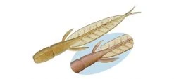 Evergreen International C-4 Leech Dropshot Baits