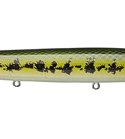 Ima Little Stick Walking 16 Ima Little Stick Walking