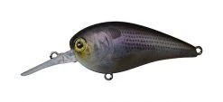 Jackall MC60 MR Shallow Diving (0-7ft.)