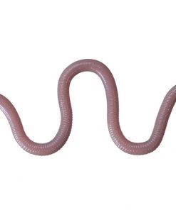 OSP Dropshot Baits MMZ