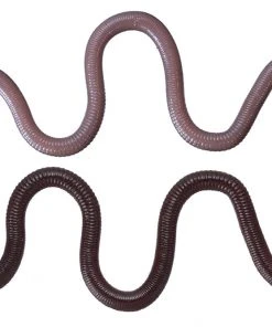 OSP Dropshot Baits MMZ