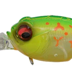 Megabass MR-X Griffon