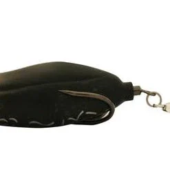 Teckel Maracker Frog Frogs