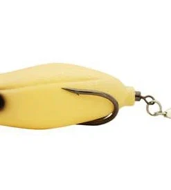 Teckel Maracker Frog Frogs