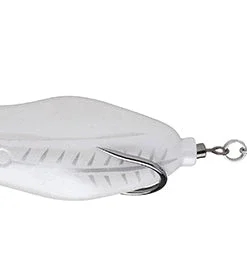 Teckel Maracker Frog Frogs