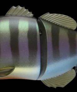 Jackall Hard Body Gantarel