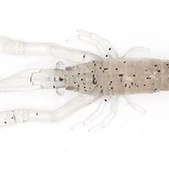 Little Jack Creatures Modelism Ebi