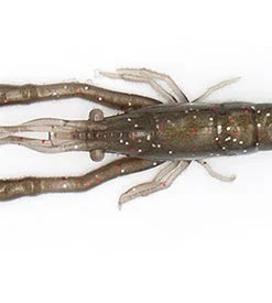 Little Jack Creatures Modelism Ebi