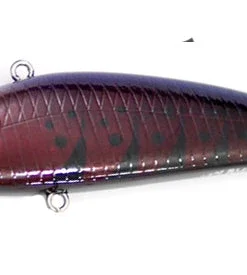 Obass Live Mola Mola Bone Rattle