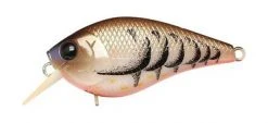 Lucky Craft LC MTO Crankbaits