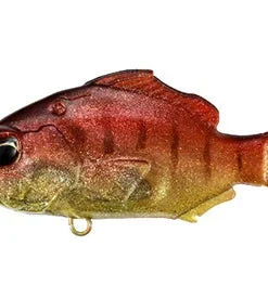 Duo Realis Deka Nomase Gill Lipless