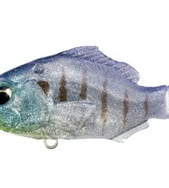 Duo Realis Deka Nomase Gill Lipless