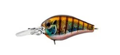 Evergreen USA PC-5 Crankbaits