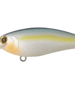 Bottom Up Shallow Diving (0-7ft.) Reazzy Appeal Plus 19 Bottom Up Shallow Diving (0-7ft.) Reazzy Appeal Plus