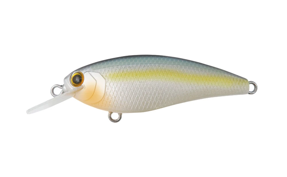 Bottom Up Shallow Diving (0-7ft.) Reazzy Appeal Plus 11 Bottom Up Shallow Diving (0-7ft.) Reazzy Appeal Plus