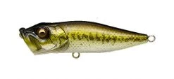 Megabass Pop-X 41 Megabass Pop-X