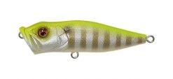 Megabass Pop-X 59 Megabass Pop-X
