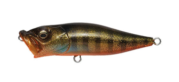 Megabass Pop-X 19 Megabass Pop-X