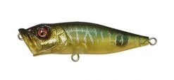 Megabass Pop-X 49 Megabass Pop-X