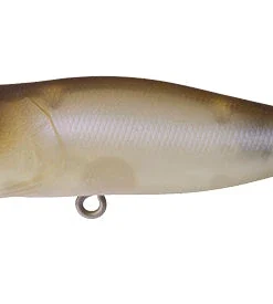 Megabass Pop-X 56 Megabass Pop-X