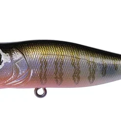 Megabass Pop-X 61 Megabass Pop-X