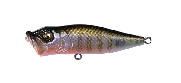 Megabass Pop-X 30 Megabass Pop-X
