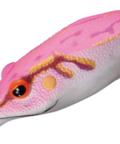 Smith LTD. Potofu Frog