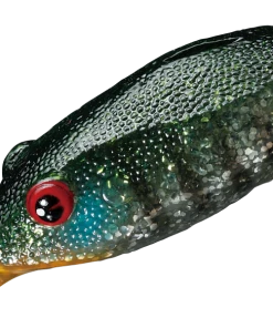 Smith LTD. Potofu Frog