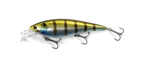 ISM Shallow Diving (0-7ft.) Risen 110F 3 ISM Shallow Diving (0-7ft.) Risen 110F