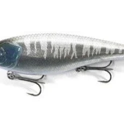 ISM Shallow Diving (0-7ft.) Risen 110F 10 ISM Shallow Diving (0-7ft.) Risen 110F