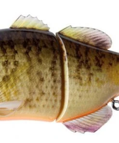 Jackall Gantarel Jr. 19 Jackall Gantarel Jr.