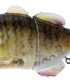 Jackall Hard Body Gantarel