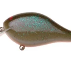 Ima Shaker 20 Ima Shaker