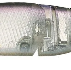 Evergreen International Royal Flash Jr.