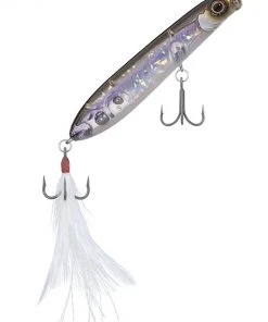 Evergreen USA SB 77.7 Walking