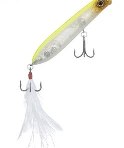 Evergreen USA SB 77.7 Walking