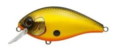 Evergreen USA SH-3 Squarebill Crankbait