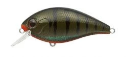 Evergreen USA SH-3 Squarebill Crankbait