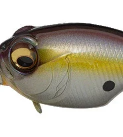 Megabass SR-X Griffon