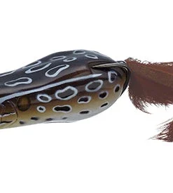 Evergreen USA Frogs Softshell Showblows Frog