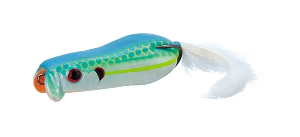 Evergreen USA Frogs Softshell Showblows Frog 3 Evergreen USA Frogs Softshell Showblows Frog