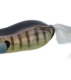 Evergreen USA Frogs Softshell Showblows Frog