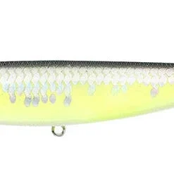 Lucky Craft Walking Sammy