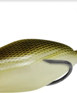 Teckel Sprinker Frog Frogs