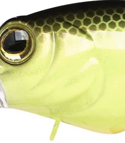 Teckel Medium Diving (8-14ft.) Drunker 19 Teckel Medium Diving (8-14ft.) Drunker