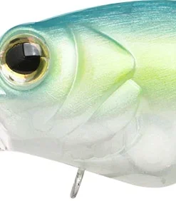 Teckel Medium Diving (8-14ft.) Drunker 18 Teckel Medium Diving (8-14ft.) Drunker