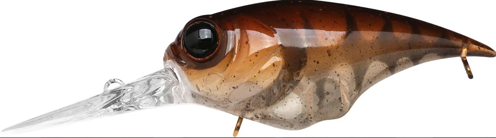 Teckel Medium Diving (8-14ft.) Drunker 7 Teckel Medium Diving (8-14ft.) Drunker