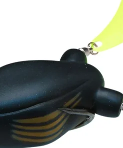 Teckel Frogs Honker Frog 31 Teckel Frogs Honker Frog