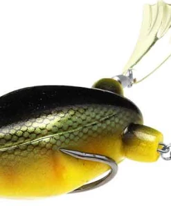 Teckel Frogs Honker Frog